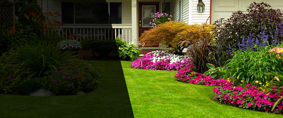 Mims Landscapers