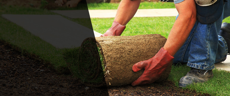 Mims Landscapers